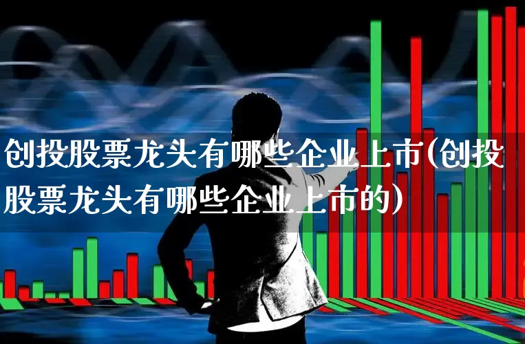 创投股票龙头有哪些企业上市(创投股票龙头有哪些企业上市的)_https://www.fzdzcxj.com_深交所_第1张