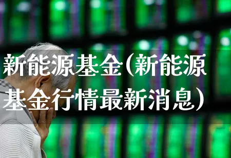 新能源基金(新能源基金行情最新消息)_https://www.fzdzcxj.com_北交所_第1张