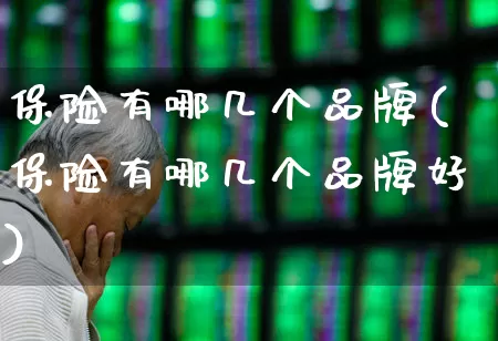 保险有哪几个品牌(保险有哪几个品牌好)_https://www.fzdzcxj.com_深交所_第1张