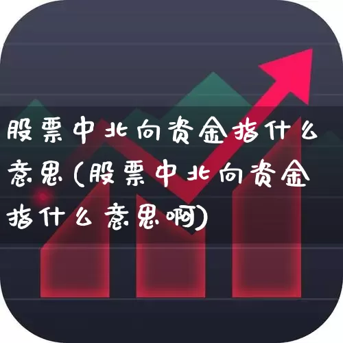 股票中北向资金指什么意思(股票中北向资金指什么意思啊)_https://www.fzdzcxj.com_北交所_第1张