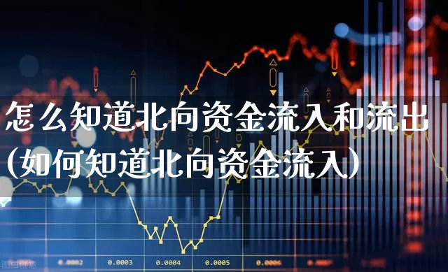 怎么知道北向资金流入和流出(如何知道北向资金流入)_https://www.fzdzcxj.com_上交所_第1张