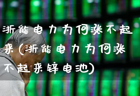 浙能电力为何涨不起来(浙能电力为何涨不起来锌电池)_https://www.fzdzcxj.com_北交所_第1张