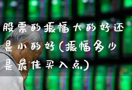 股票的振幅大的好还是小的好(振幅多少是最佳买入点)_https://www.fzdzcxj.com_创业板_第1张