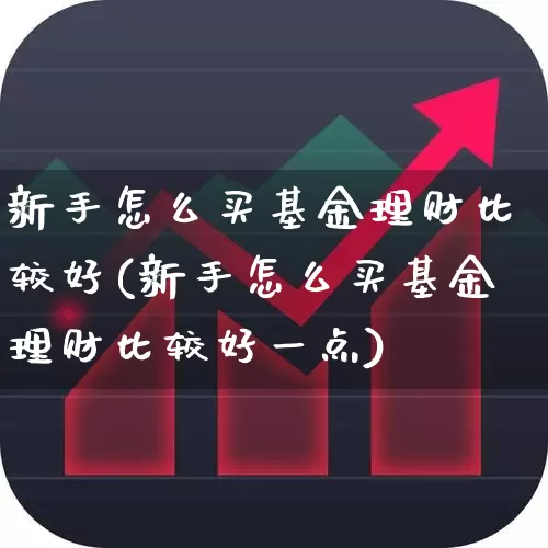 新手怎么买基金理财比较好(新手怎么买基金理财比较好一点)_https://www.fzdzcxj.com_深交所_第1张