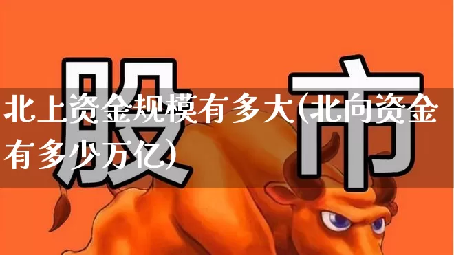 北上资金规模有多大(北向资金有多少万亿)_https://www.fzdzcxj.com_科创板_第1张