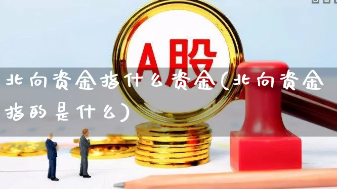 北向资金指什么资金(北向资金指的是什么)_https://www.fzdzcxj.com_深交所_第1张