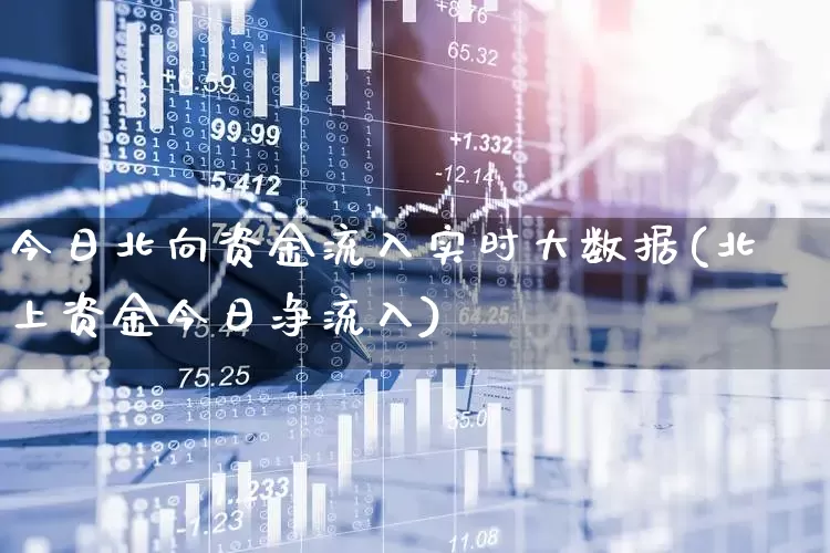今日北向资金流入实时大数据(北上资金今日净流入)_https://www.fzdzcxj.com_上交所_第1张
