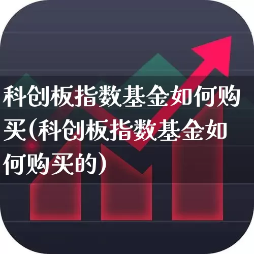 科创板指数基金如何购买(科创板指数基金如何购买的)_https://www.fzdzcxj.com_创业板_第1张