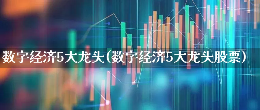 数字经济5大龙头(数字经济5大龙头股票)_https://www.fzdzcxj.com_创业板_第1张