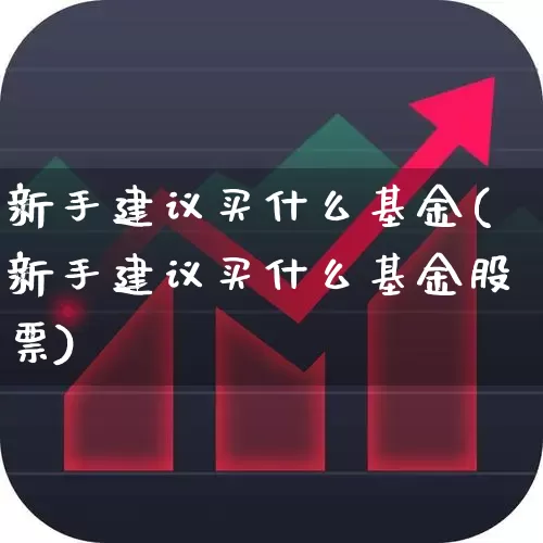 新手建议买什么基金(新手建议买什么基金股票)_https://www.fzdzcxj.com_深交所_第1张
