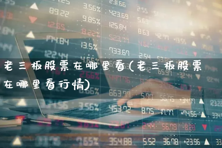 老三板股票在哪里看(老三板股票在哪里看行情)_https://www.fzdzcxj.com_北交所_第1张
