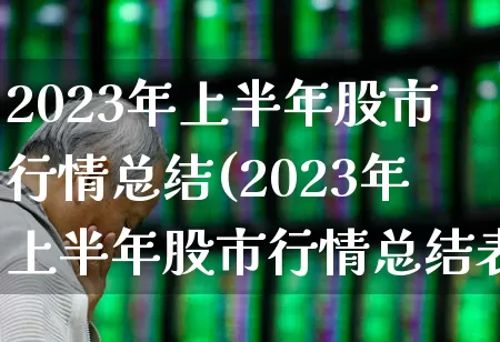 2023年上半年股市行情总结(2023年上半年股市行情总结表)_https://www.fzdzcxj.com_深交所_第1张