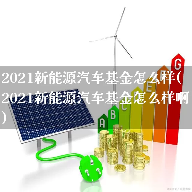 2021新能源汽车基金怎么样(2021新能源汽车基金怎么样啊)_https://www.fzdzcxj.com_深交所_第1张