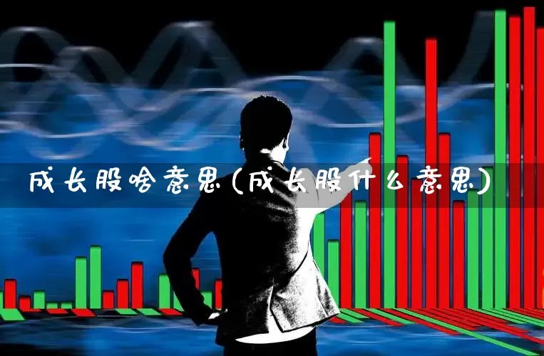 成长股啥意思(成长股什么意思)_https://www.fzdzcxj.com_深交所_第1张
