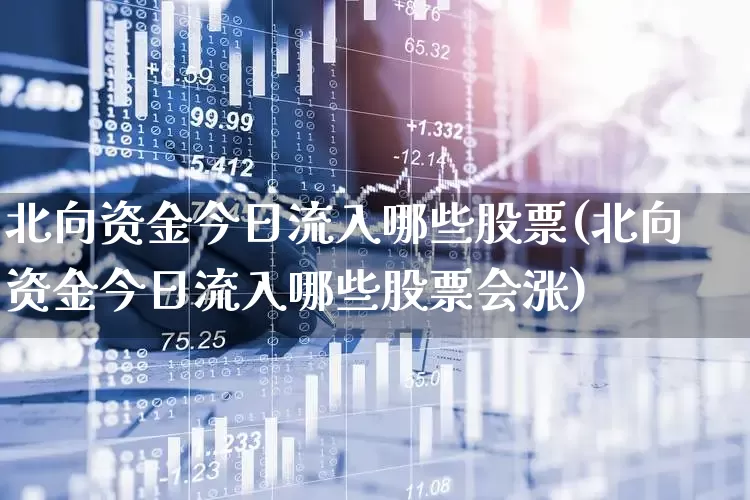 北向资金今日流入哪些股票(北向资金今日流入哪些股票会涨)_https://www.fzdzcxj.com_科创板_第1张