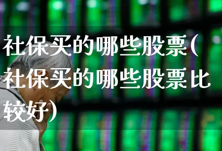 社保买的哪些股票(社保买的哪些股票比较好)_https://www.fzdzcxj.com_科创板_第1张
