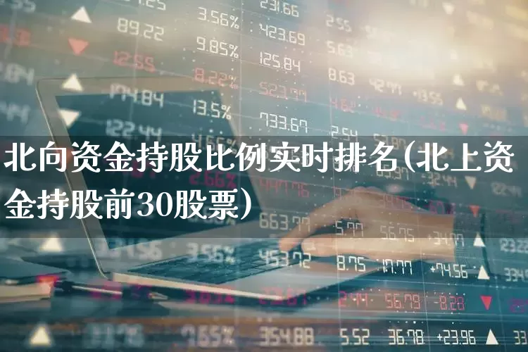 北向资金持股比例实时排名(北上资金持股前30股票)_https://www.fzdzcxj.com_上交所_第1张
