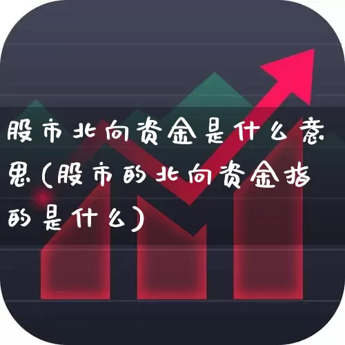 股市北向资金是什么意思(股市的北向资金指的是什么)_https://www.fzdzcxj.com_科创板_第1张