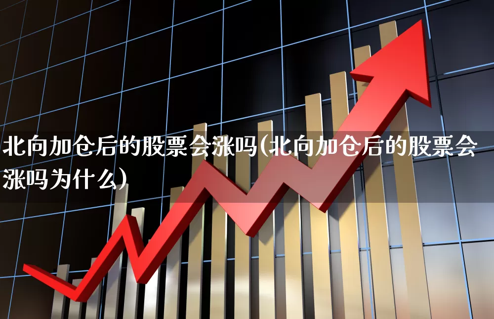 北向加仓后的股票会涨吗(北向加仓后的股票会涨吗为什么)_https://www.fzdzcxj.com_上交所_第1张