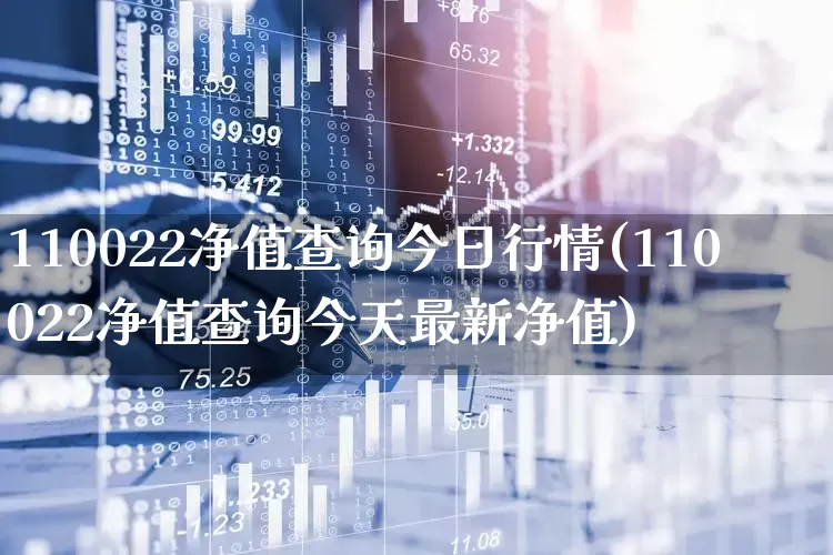 110022净值查询今日行情(110022净值查询今天最新净值)_https://www.fzdzcxj.com_创业板_第1张
