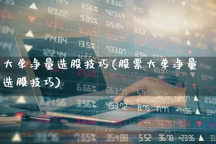 大单净量选股技巧(股票大单净量选股技巧)_https://www.fzdzcxj.com_深交所_第1张