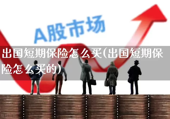出国短期保险怎么买(出国短期保险怎么买的)_https://www.fzdzcxj.com_科创板_第1张