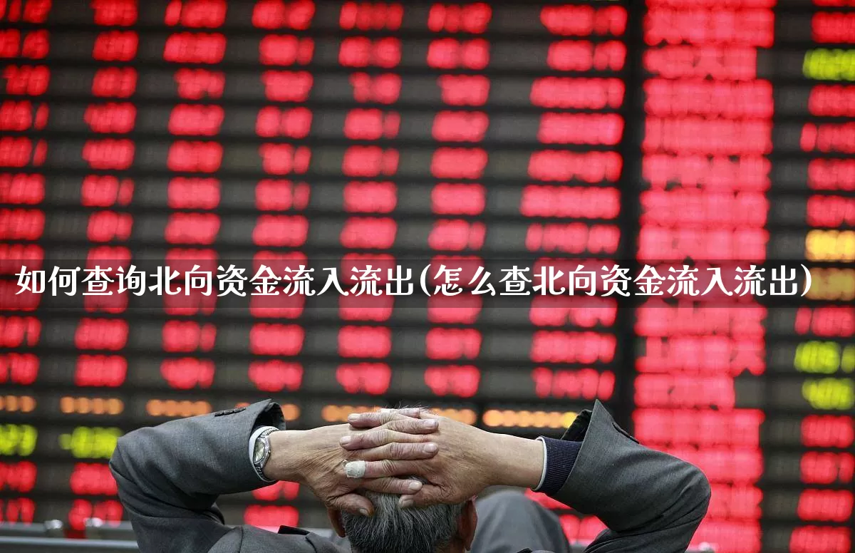 如何查询北向资金流入流出(怎么查北向资金流入流出)_https://www.fzdzcxj.com_北交所_第1张