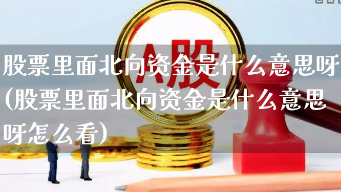 股票里面北向资金是什么意思呀(股票里面北向资金是什么意思呀怎么看)_https://www.fzdzcxj.com_创业板_第1张
