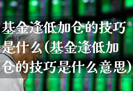 基金逢低加仓的技巧是什么(基金逢低加仓的技巧是什么意思)_https://www.fzdzcxj.com_科创板_第1张