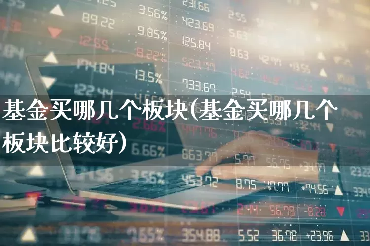 基金买哪几个板块(基金买哪几个板块比较好)_https://www.fzdzcxj.com_上交所_第1张