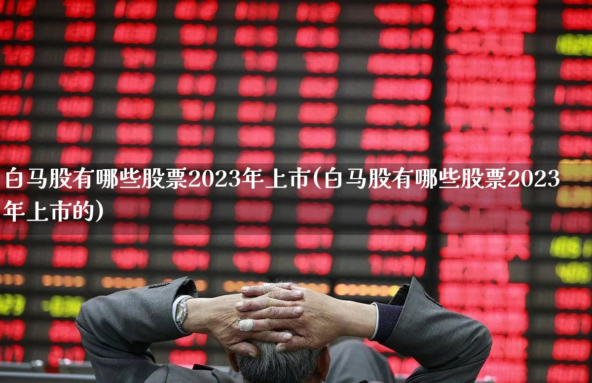 白马股有哪些股票2023年上市(白马股有哪些股票2023年上市的)_https://www.fzdzcxj.com_科创板_第1张
