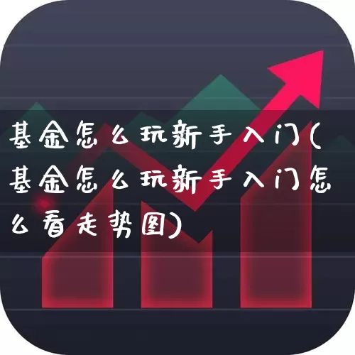 基金怎么玩新手入门(基金怎么玩新手入门怎么看走势图)_https://www.fzdzcxj.com_科创板_第1张