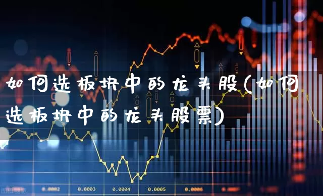 如何选板块中的龙头股(如何选板块中的龙头股票)_https://www.fzdzcxj.com_深交所_第1张