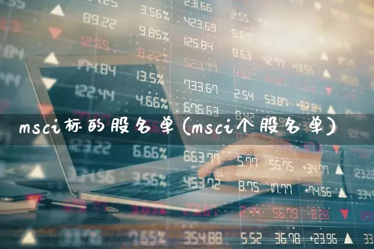 msci标的股名单(msci个股名单)_https://www.fzdzcxj.com_北交所_第1张