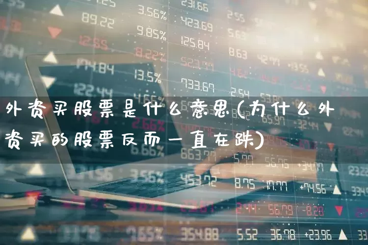 外资买股票是什么意思(为什么外资买的股票反而一直在跌)_https://www.fzdzcxj.com_创业板_第1张