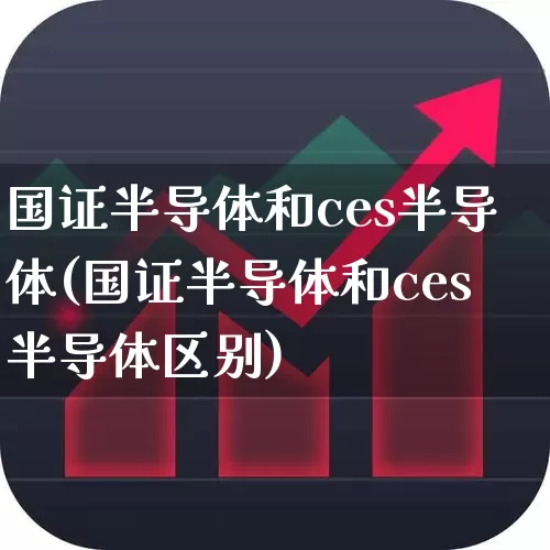 国证半导体和ces半导体(国证半导体和ces半导体区别)_https://www.fzdzcxj.com_深交所_第1张