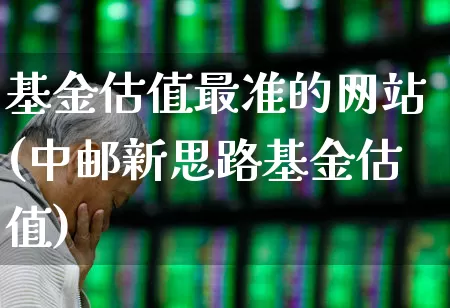 基金估值最准的网站(中邮新思路基金估值)_https://www.fzdzcxj.com_深交所_第1张