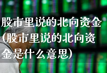 股市里说的北向资金(股市里说的北向资金是什么意思)_https://www.fzdzcxj.com_上交所_第1张