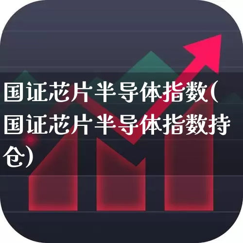 国证芯片半导体指数(国证芯片半导体指数持仓)_https://www.fzdzcxj.com_科创板_第1张