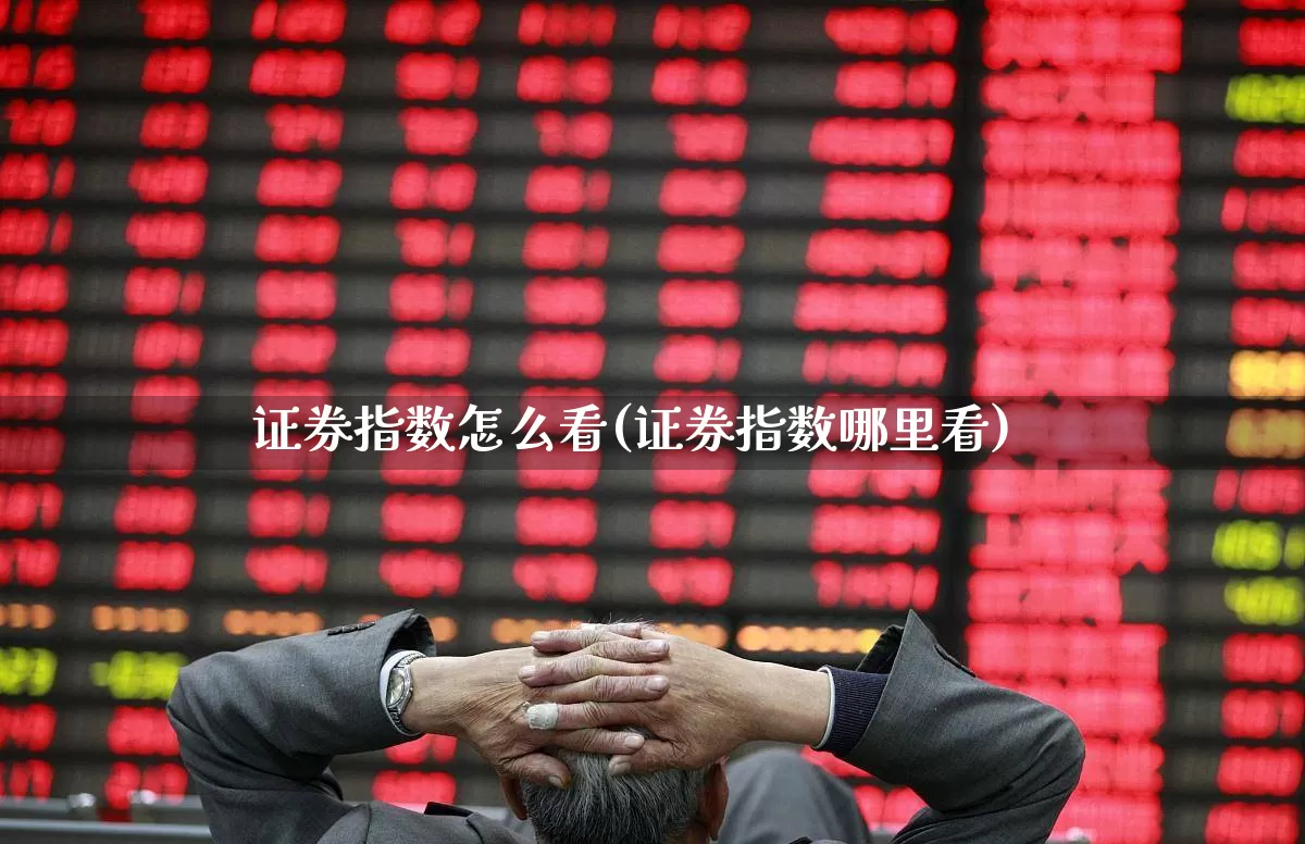 证券指数怎么看(证券指数哪里看)_https://www.fzdzcxj.com_上交所_第1张