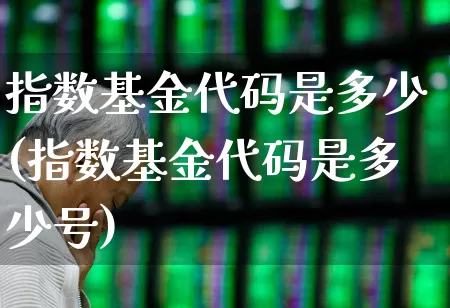 指数基金代码是多少(指数基金代码是多少号)_https://www.fzdzcxj.com_上交所_第1张