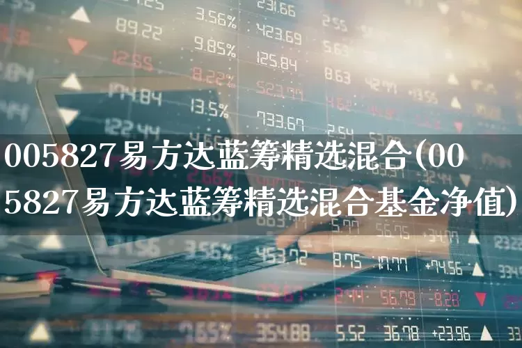 005827易方达蓝筹精选混合(005827易方达蓝筹精选混合基金净值)_https://www.fzdzcxj.com_创业板_第1张