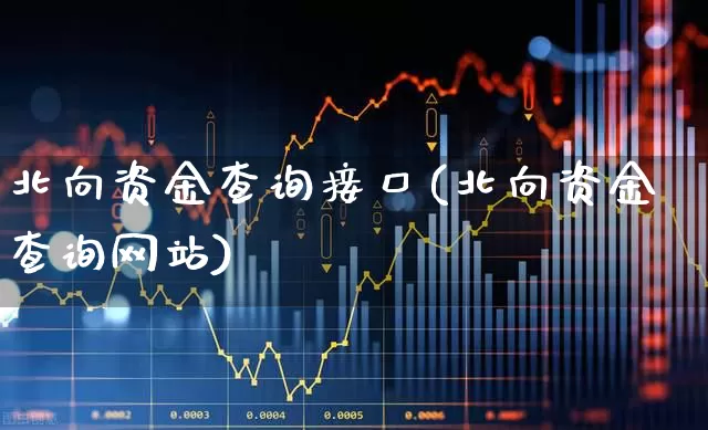 北向资金查询接口(北向资金查询网站)_https://www.fzdzcxj.com_科创板_第1张
