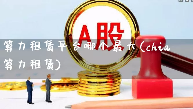 算力租赁平台哪个最大(chia算力租赁)_https://www.fzdzcxj.com_创业板_第1张