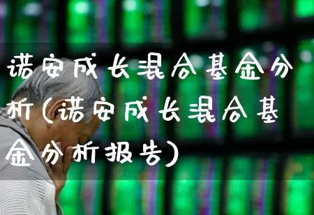 诺安成长混合基金分析(诺安成长混合基金分析报告)_https://www.fzdzcxj.com_北交所_第1张