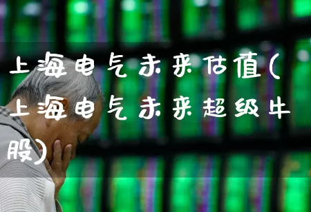 上海电气未来估值(上海电气未来超级牛股)_https://www.fzdzcxj.com_创业板_第1张