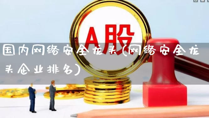 国内网络安全龙头(网络安全龙头企业排名)_https://www.fzdzcxj.com_北交所_第1张