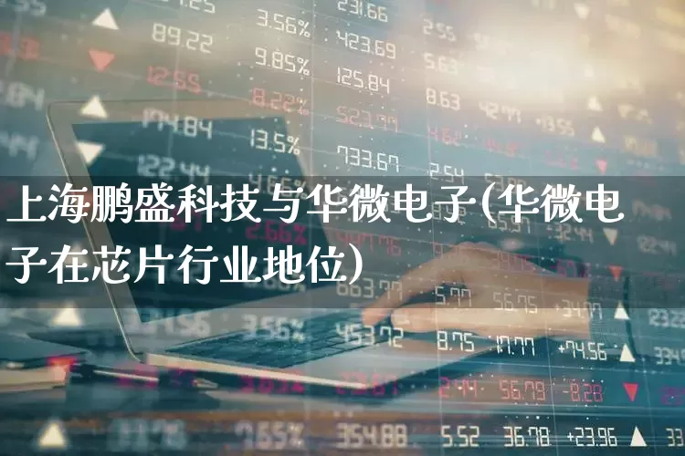上海鹏盛科技与华微电子(华微电子在芯片行业地位)_https://www.fzdzcxj.com_深交所_第1张