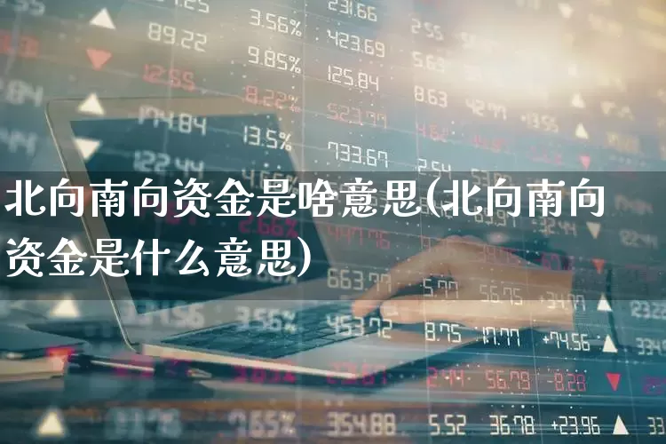 北向南向资金是啥意思(北向南向资金是什么意思)_https://www.fzdzcxj.com_北交所_第1张