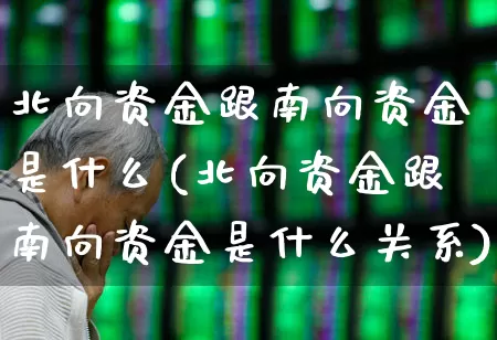 北向资金跟南向资金是什么(北向资金跟南向资金是什么关系)_https://www.fzdzcxj.com_科创板_第1张